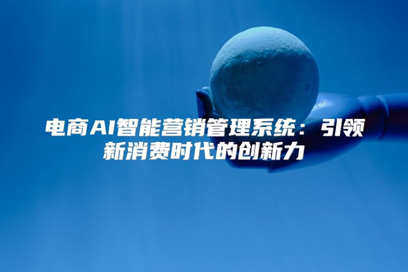 电商AI智能营销管理系统：引领新消费时代的创新力