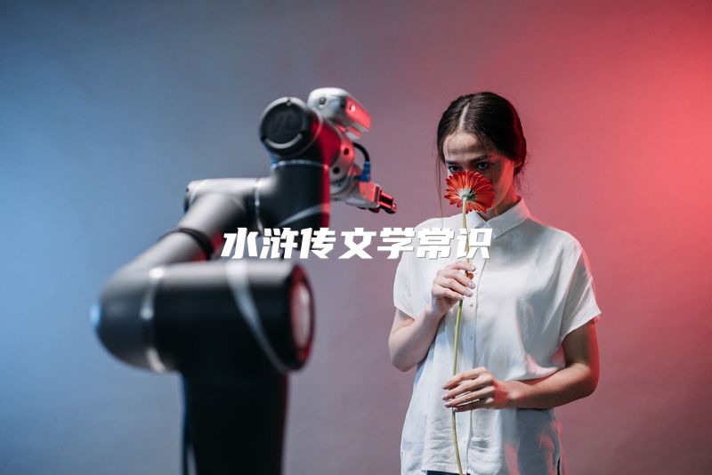 水浒传文学常识
