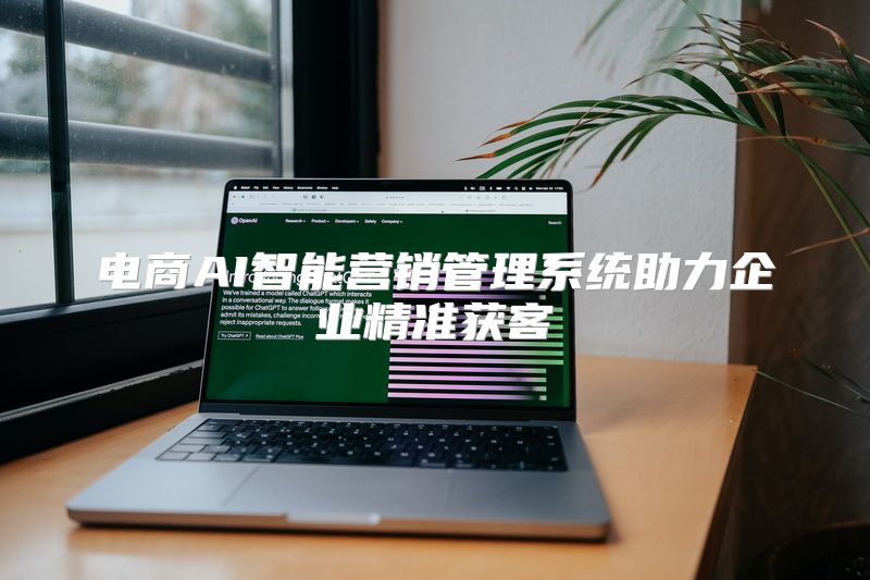 电商AI智能营销管理系统助力企业精准获客