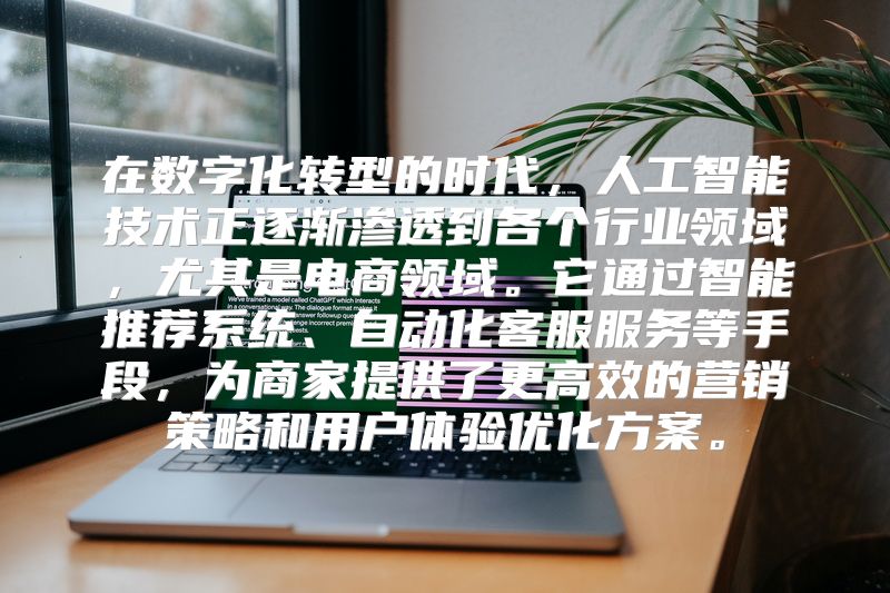在数字化转型的时代，人工智能技术正逐渐渗透到各个行业领域，尤其是电商领域。它通过智能推荐系统、自动化客服服务等手段，为商家提供了更高效的营销策略和用户体验优化方案。