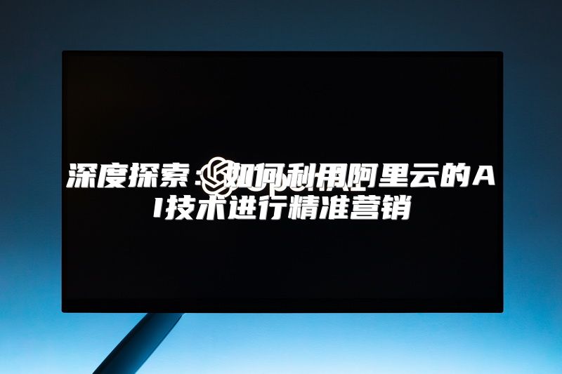 深度探索：如何利用阿里云的AI技术进行精准营销