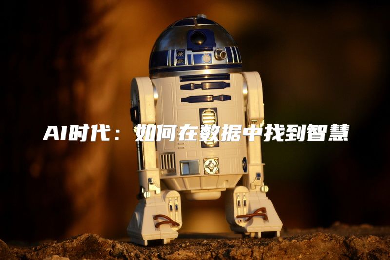 AI时代：如何在数据中找到智慧