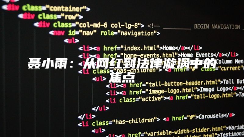 聂小雨：从网红到法律漩涡中的焦点