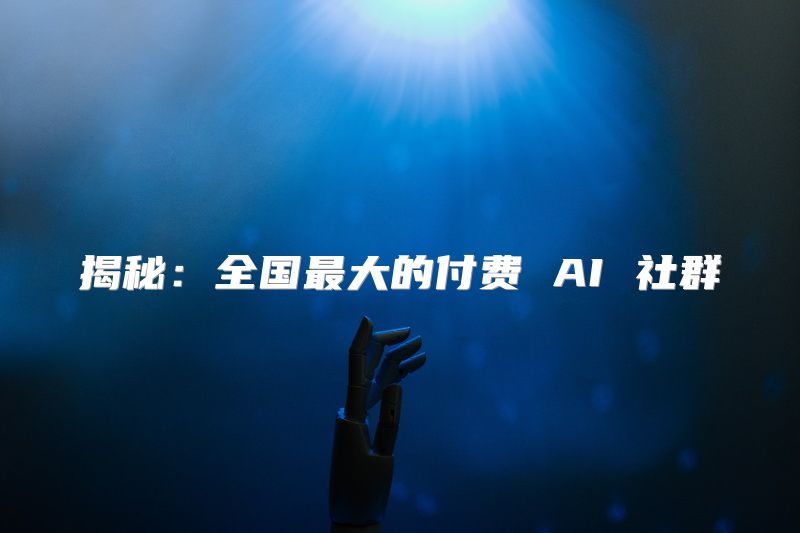 揭秘：全国最大的付费 AI 社群