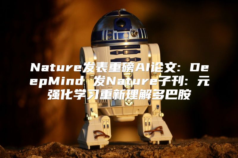 Nature发表重磅AI论文: DeepMind 发Nature子刊: 元强化学习重新理解多巴胺