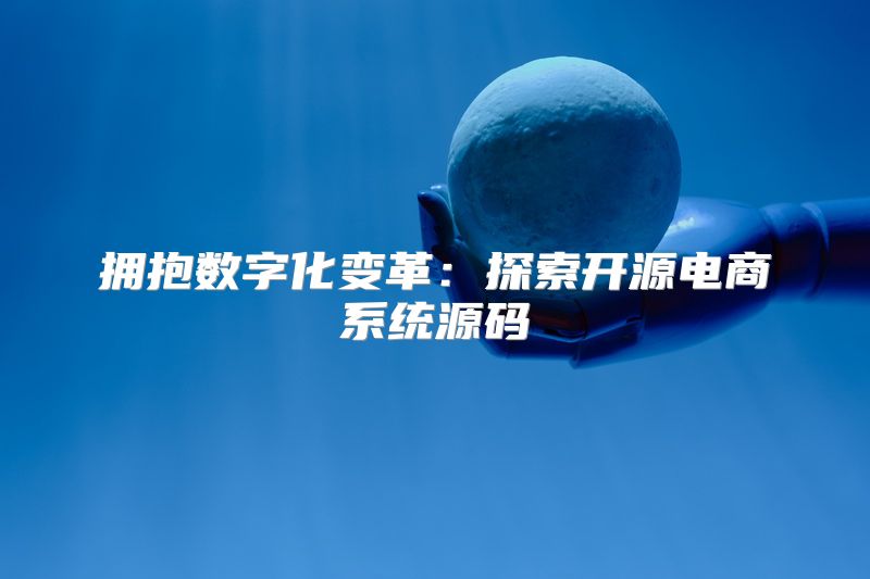 拥抱数字化变革：探索开源电商系统源码