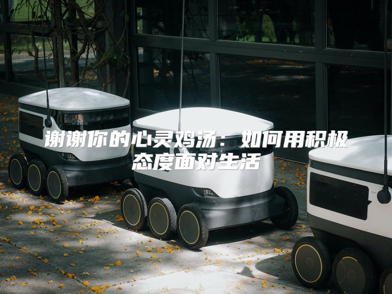 谢谢你的心灵鸡汤：如何用积极态度面对生活
