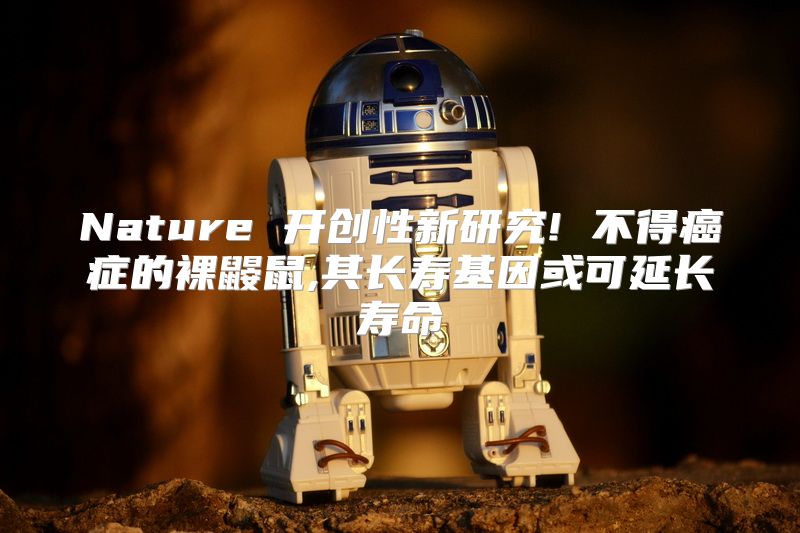 Nature 开创性新研究! 不得癌症的裸鼹鼠,其长寿基因或可延长寿命
