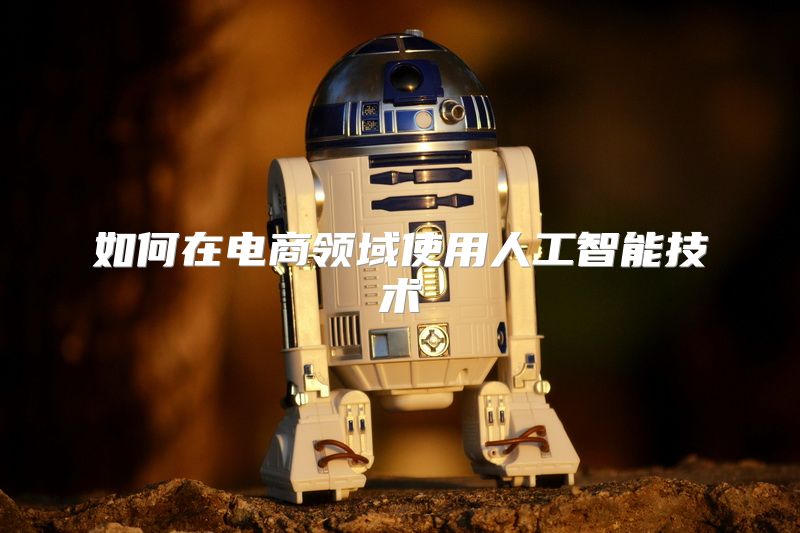 如何在电商领域使用人工智能技术