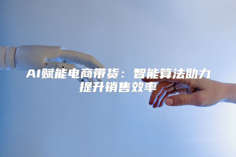 AI赋能电商带货：智能算法助力提升销售效率