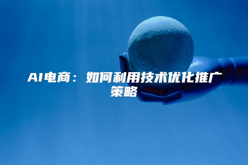 AI电商：如何利用技术优化推广策略