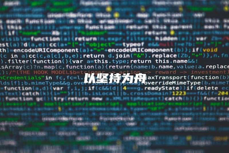 以坚持为舟