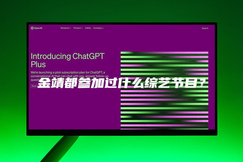 金靖都参加过什么综艺节目？