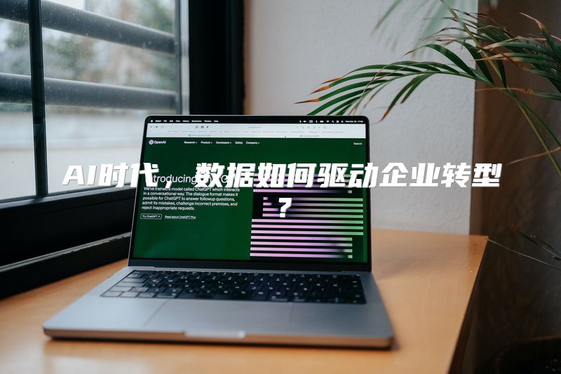 AI时代，数据如何驱动企业转型？