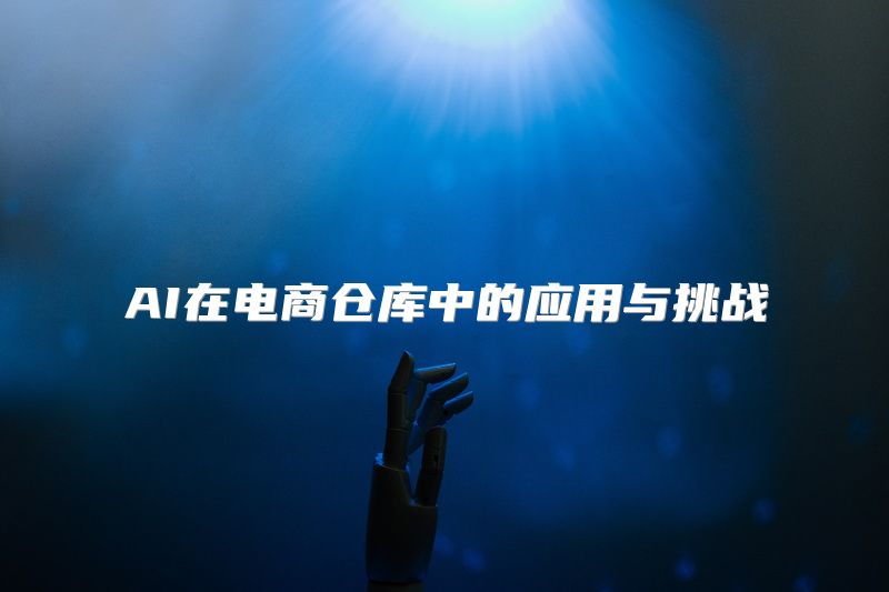AI在电商仓库中的应用与挑战