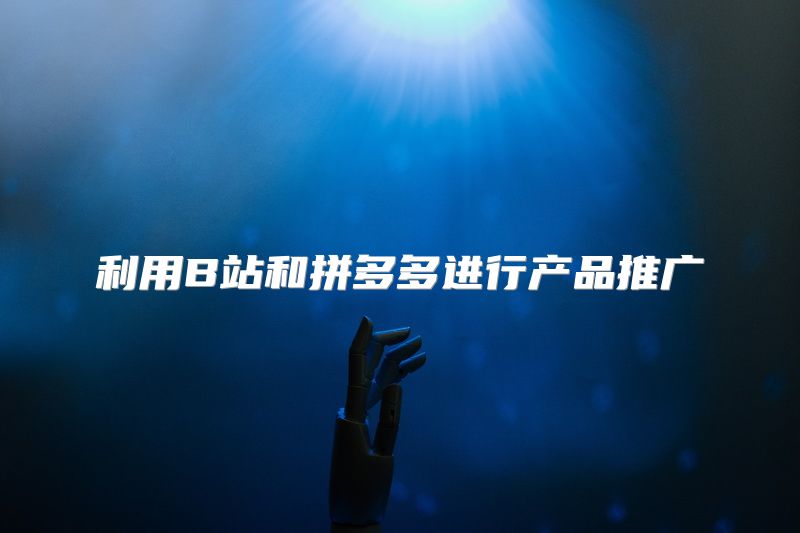 利用B站和拼多多进行产品推广