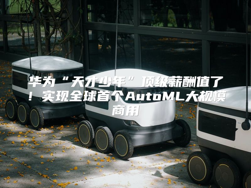 华为“天才少年”顶级薪酬值了！实现全球首个AutoML大规模商用