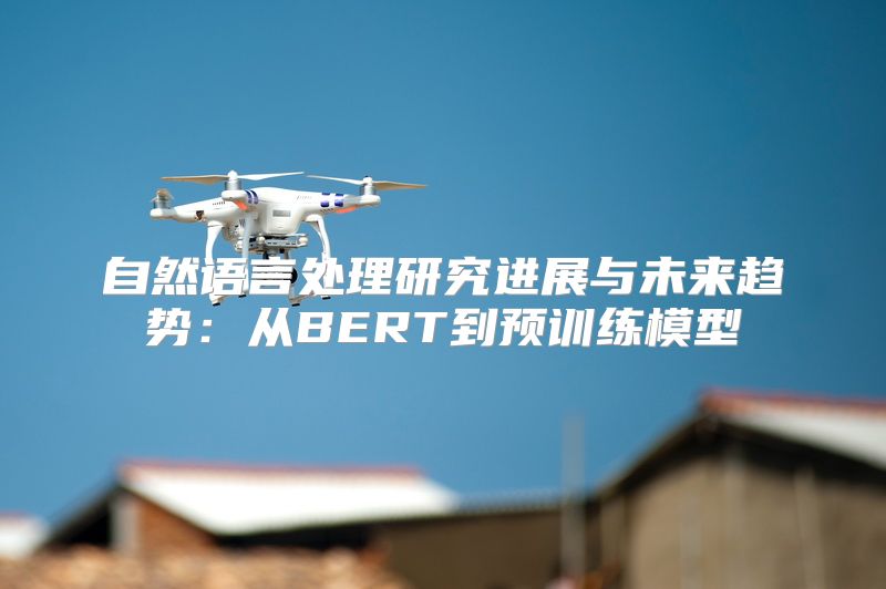 自然语言处理研究进展与未来趋势：从BERT到预训练模型