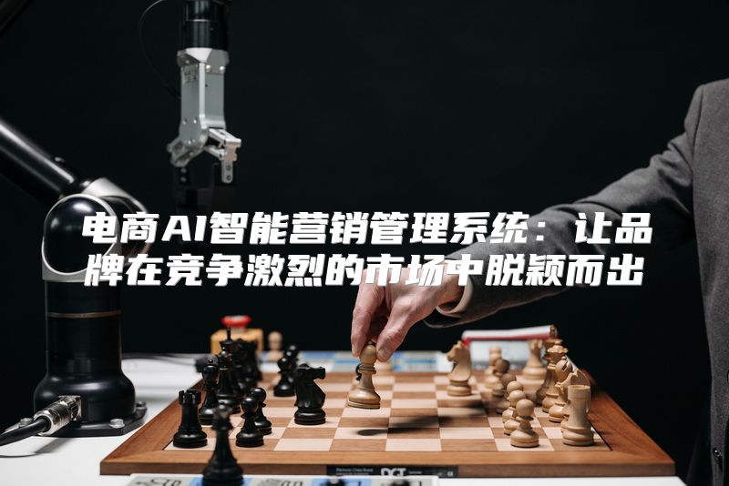 电商AI智能营销管理系统：让品牌在竞争激烈的市场中脱颖而出