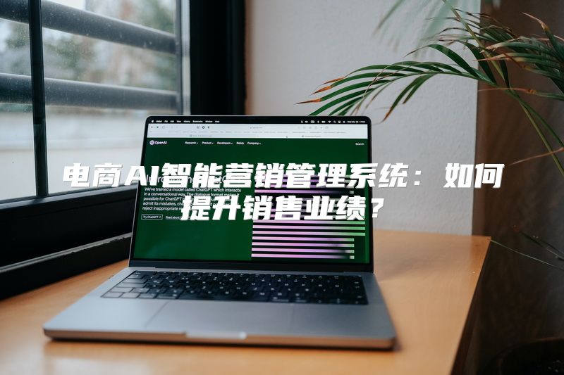 电商AI智能营销管理系统：如何提升销售业绩？