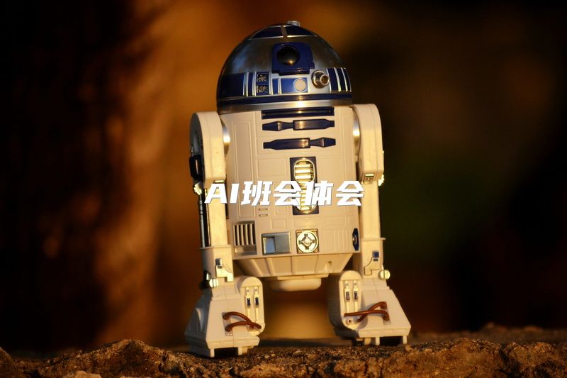 AI班会体会