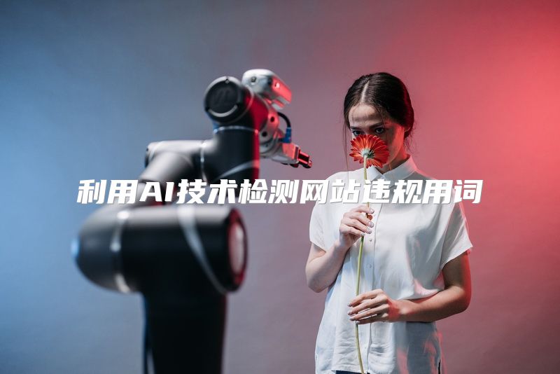 利用AI技术检测网站违规用词