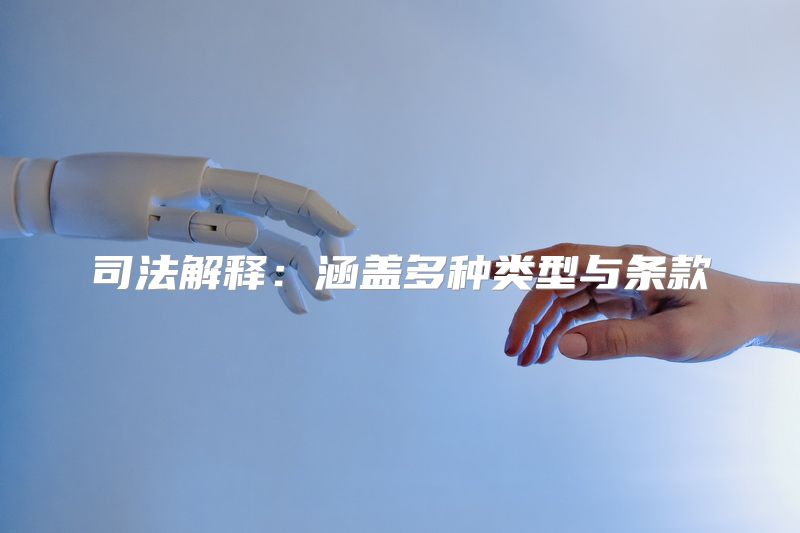 司法解释：涵盖多种类型与条款