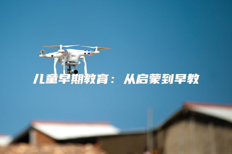 儿童早期教育：从启蒙到早教