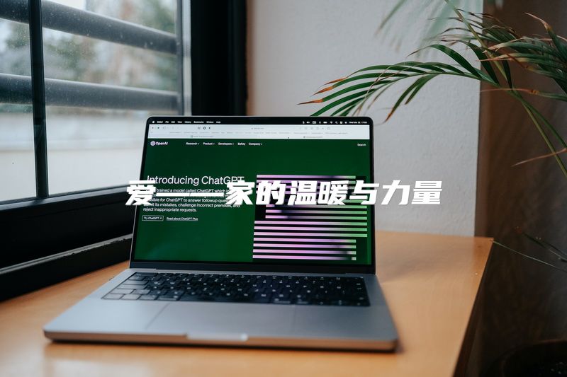 爱——家的温暖与力量