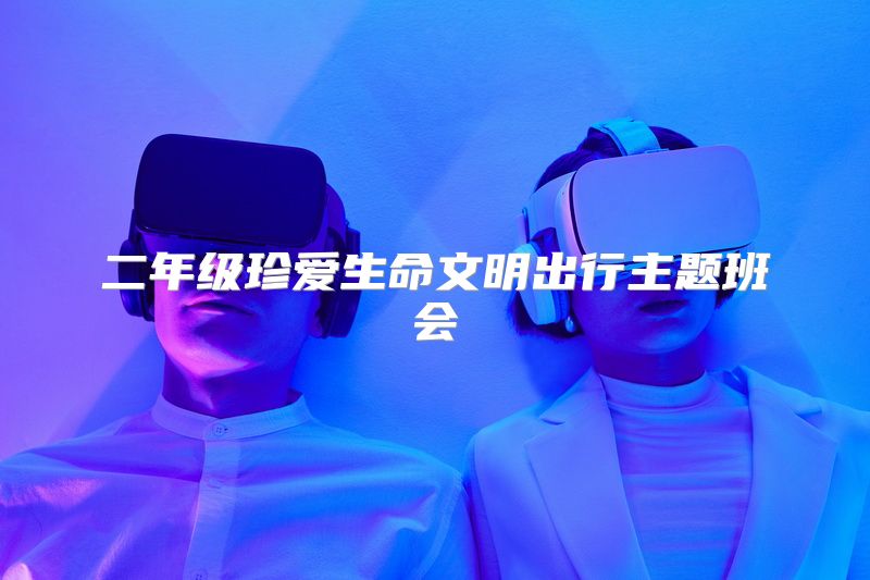 二年级珍爱生命文明出行主题班会