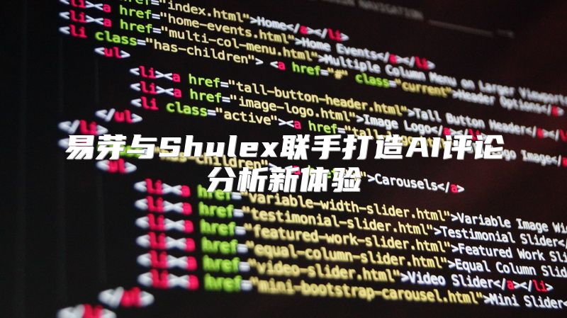 易芽与Shulex联手打造AI评论分析新体验