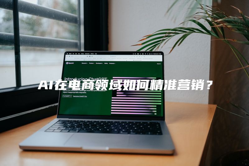 AI在电商领域如何精准营销？
