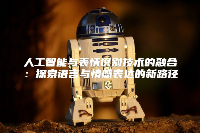 人工智能与表情识别技术的融合：探索语言与情感表达的新路径