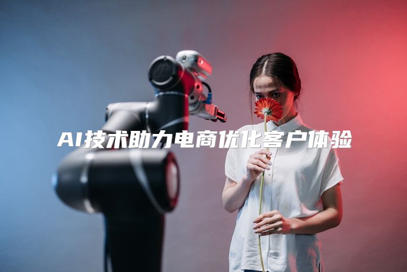AI技术助力电商优化客户体验