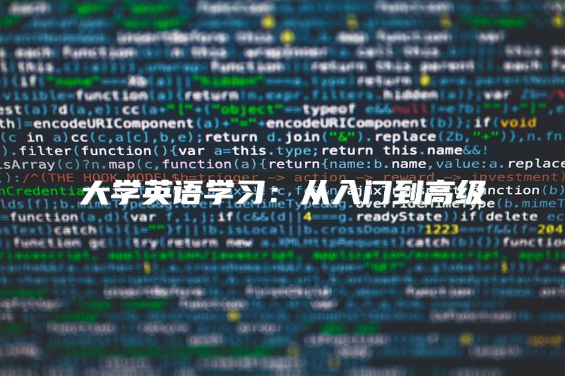 大学英语学习：从入门到高级