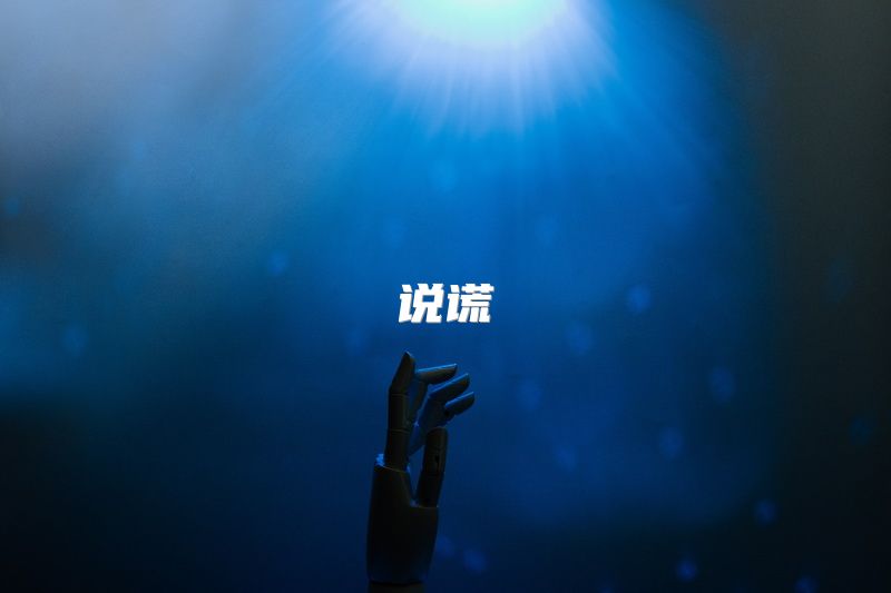 说谎