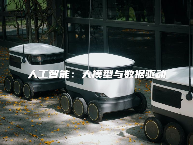 人工智能：大模型与数据驱动