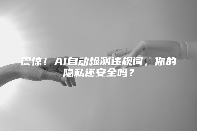 震惊！AI自动检测违规词，你的隐私还安全吗？