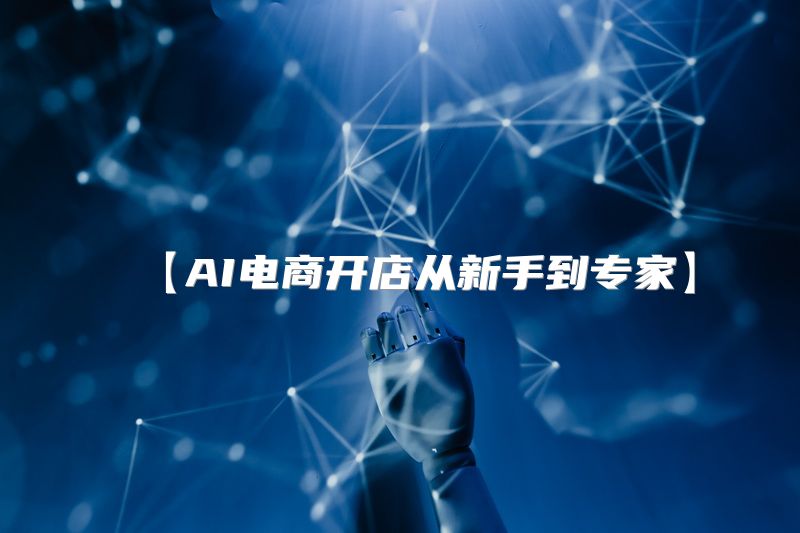 【AI电商开店从新手到专家】