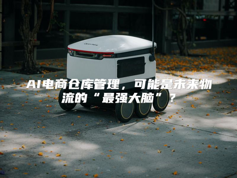AI电商仓库管理，可能是未来物流的“最强大脑”？