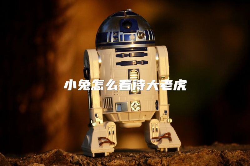 小兔怎么看待大老虎