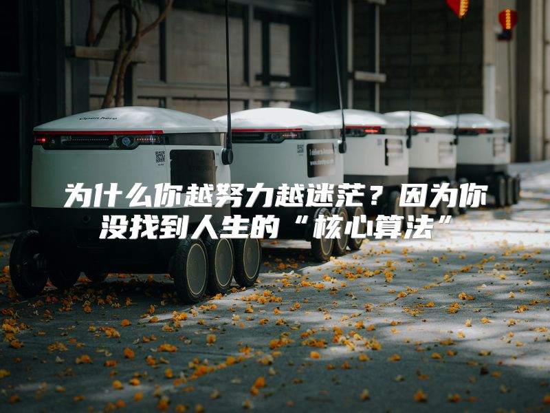 为什么你越努力越迷茫？因为你没找到人生的“核心算法”