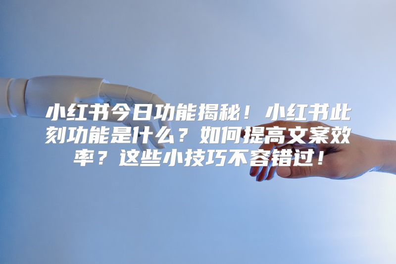 小红书今日功能揭秘！小红书此刻功能是什么？如何提高文案效率？这些小技巧不容错过！