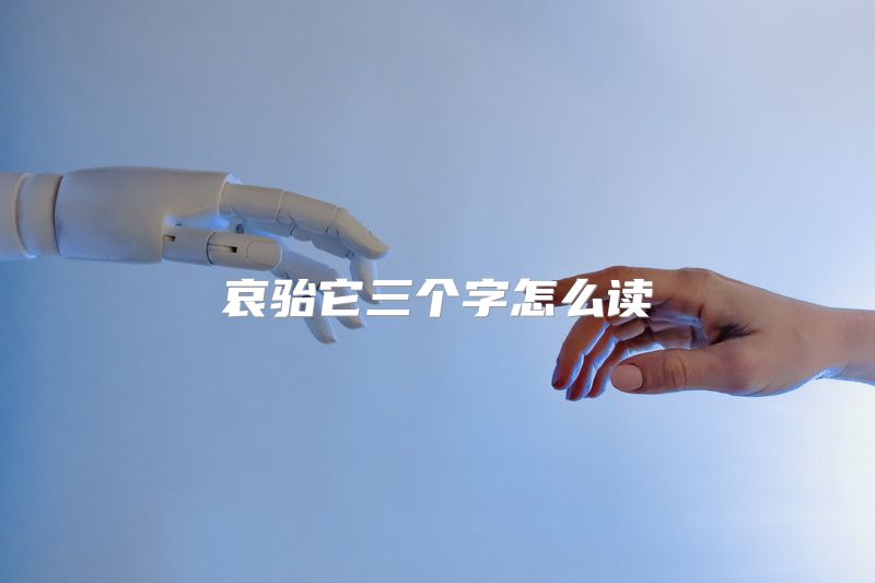 哀骀它三个字怎么读