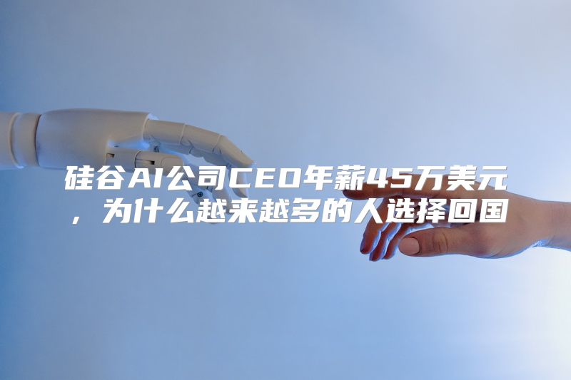 硅谷AI公司CEO年薪45万美元，为什么越来越多的人选择回国