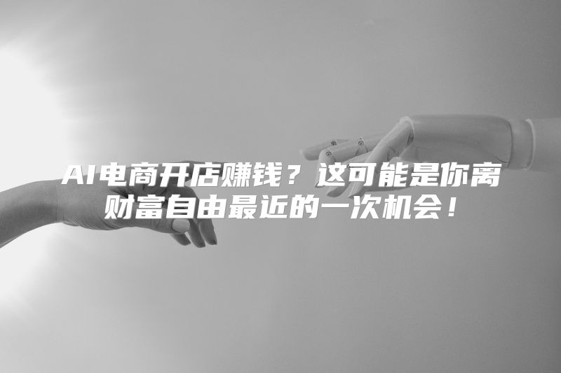 AI电商开店赚钱？这可能是你离财富自由最近的一次机会！