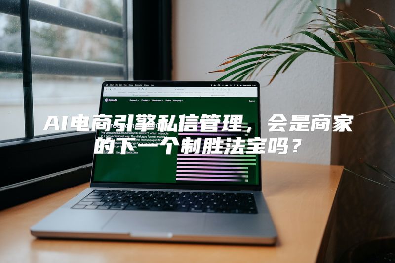 AI电商引擎私信管理，会是商家的下一个制胜法宝吗？