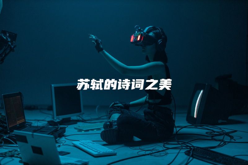 苏轼的诗词之美