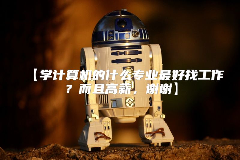 【学计算机的什么专业最好找工作？而且高薪，谢谢】