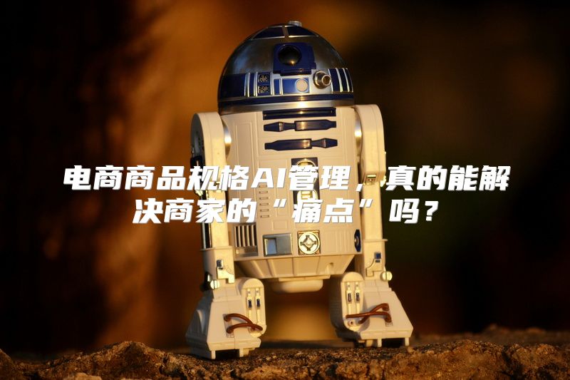 电商商品规格AI管理，真的能解决商家的“痛点”吗？